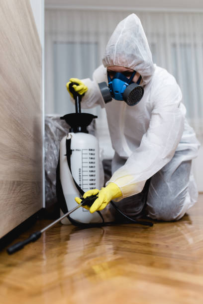 Best Fumigation Services  in Sawmills, NC